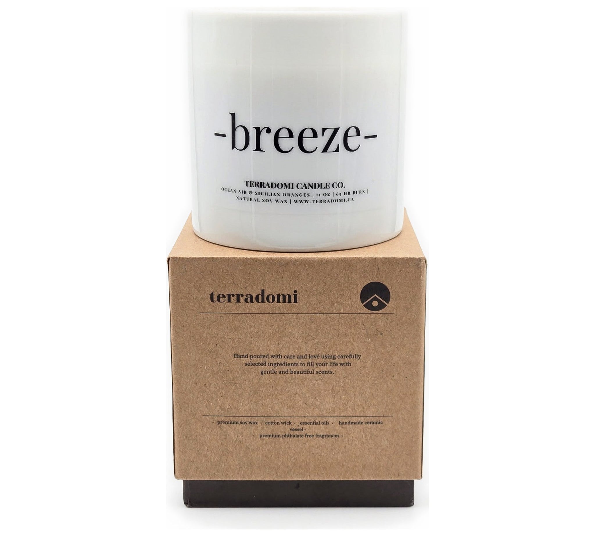 BREEZE | Ocean Air + Citrus Candle by Terradomi