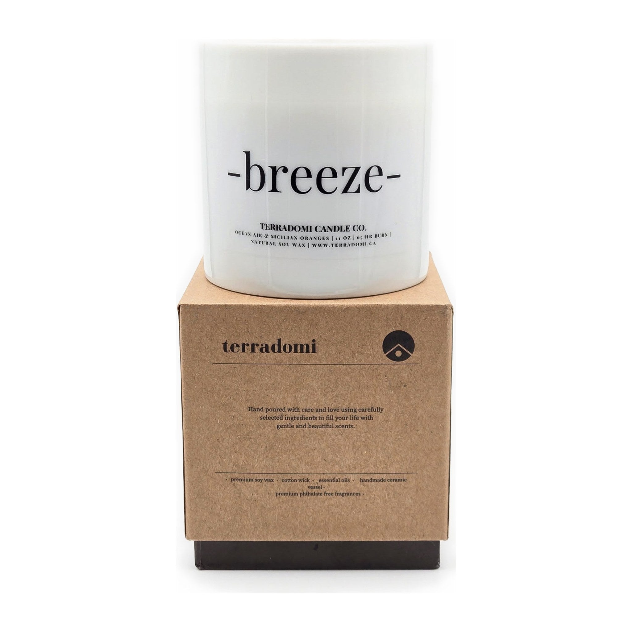 BREEZE | Ocean Air + Citrus Candle by Terradomi